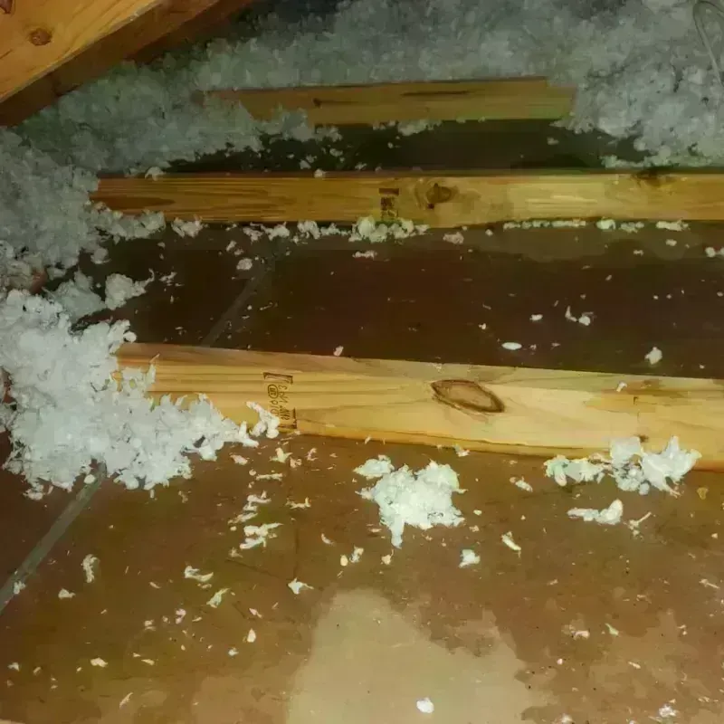 Attic Water Damage in James City, NC