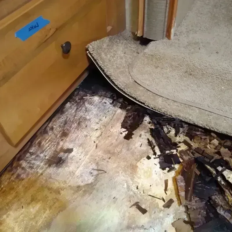 Best Wood Floor Water Damage Service in James City, NC